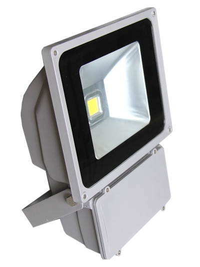 COB 100w led flood light with competitive price